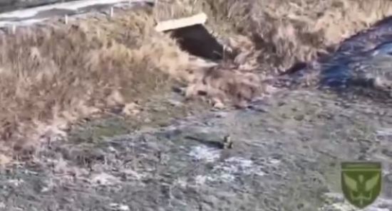 Майстерна робота: ЗСУ показали, як український роботизований дрон нищить БК ворога (відео)