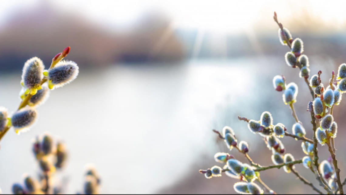 Перший день весни: чи чекати ще у березні снігу і похолодання – синоптики (Відео)